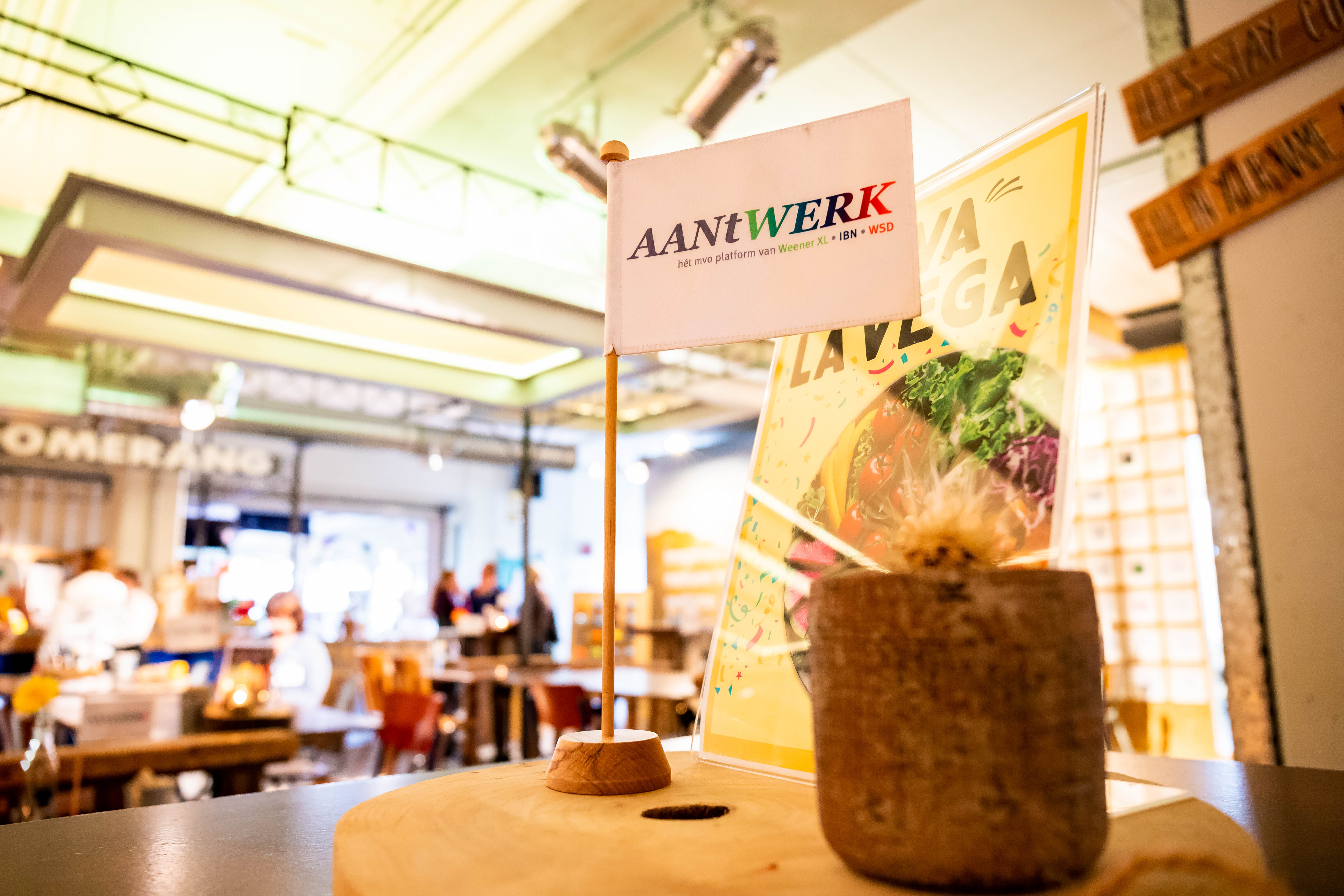 DXP AA Nt WERK Verghel 220927 001 WEB