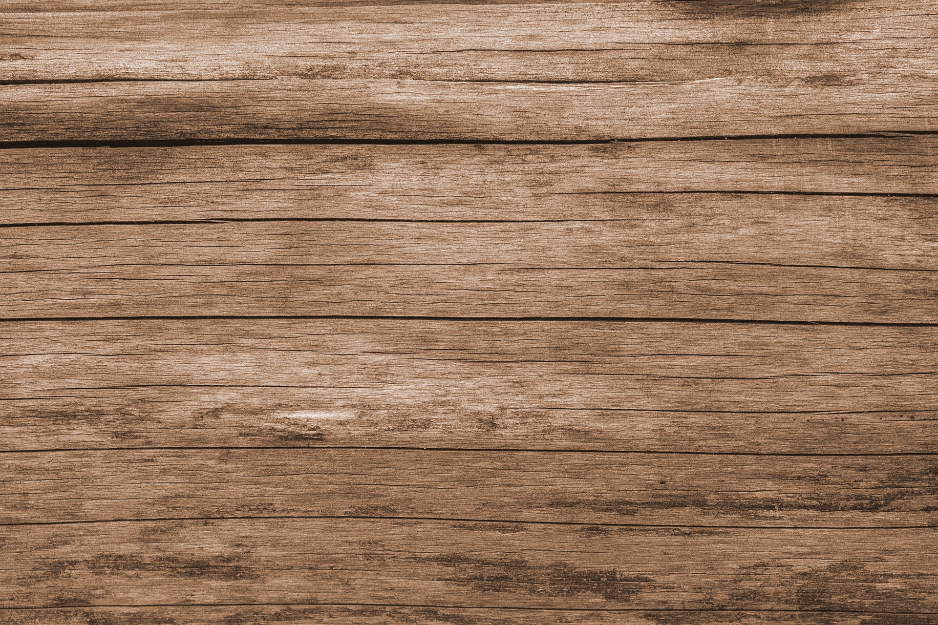 Hout