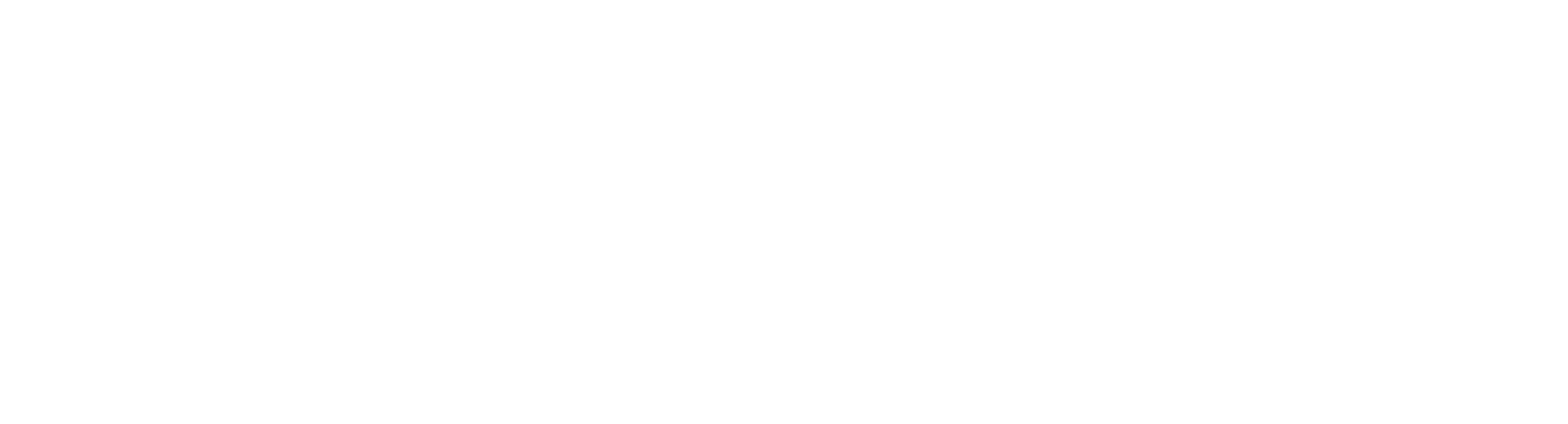 Logo Konnektos wit