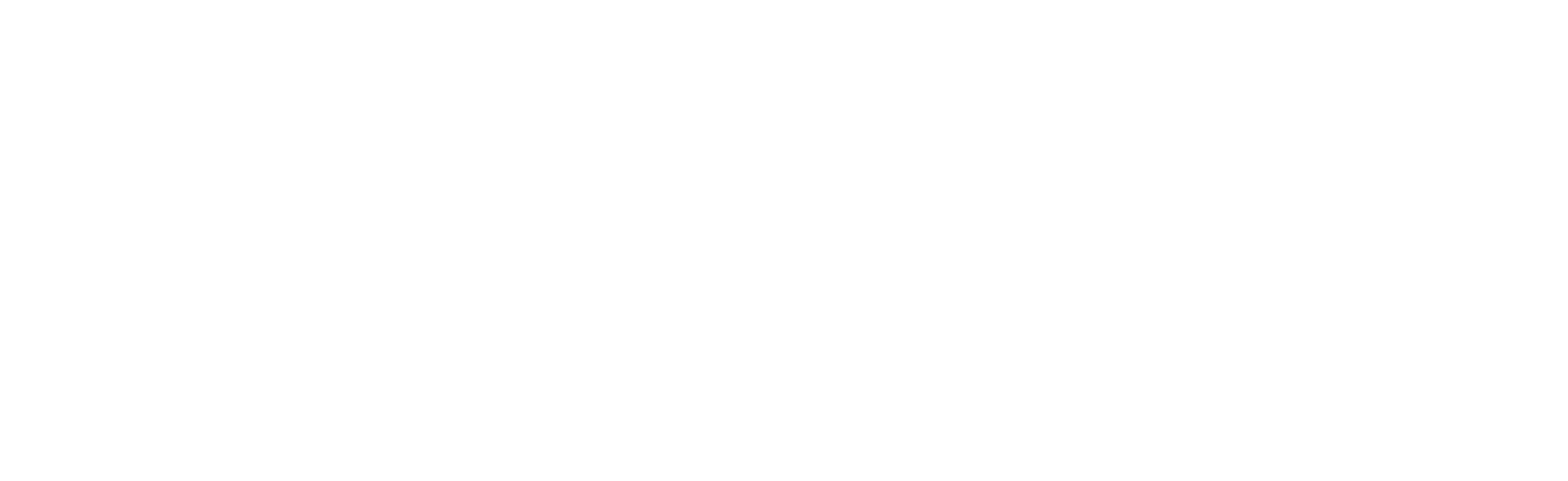 OVB LOGO WIT